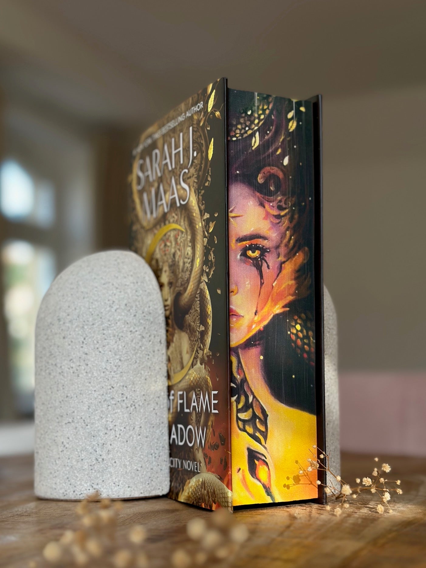 Hanna's Bookpaintings House of Flame and Shadow ONLY Crescent City Collaboration Hardback (UK edition)