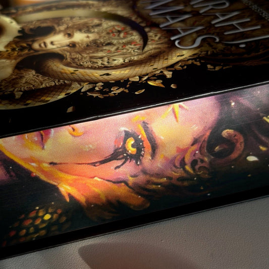 Hanna's Bookpaintings House of Flame and Shadow ONLY Crescent City Collaboration Hardback (UK edition)